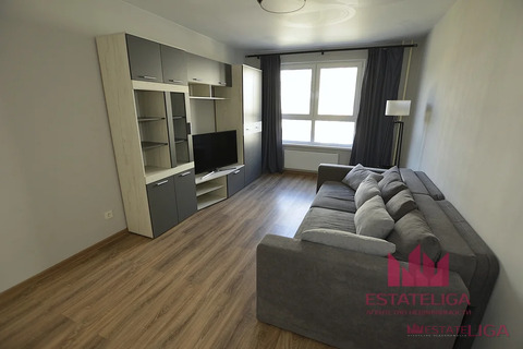 Глухово, 1-но комнатная квартира, Романовская улица д.13, 47000 руб.