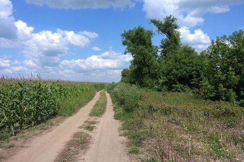 Продается участок с/х 3,5га в 4км от д.Рыболово, Новорязанское шоссе, 2800000 руб.