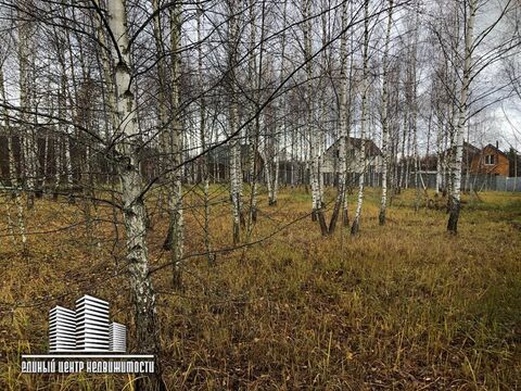 Участок 12 сот. д. Тимошкино, СНТ "Отдых" (Дмитровский район) Участок 12 сот. д. Тимошкино, СНТ "Отдых" (Дмитровский район)