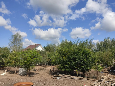 Продажа участка, Цибино, Воскресенский район, 2200000 руб.