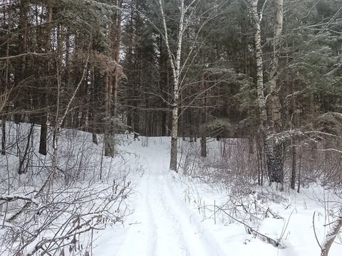 Продам земельный участок 19 соток в д.Чиверево, г.о. Мытищи, 13000000 руб.