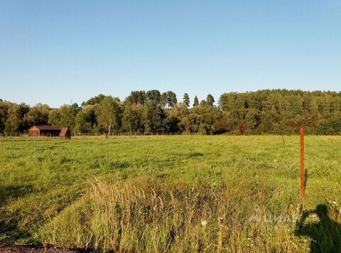 Уч-к 30 сот. Можайск городское поселение, Ильинская Слобода ДНП, 999000 руб.