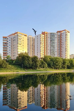 Москва, 1-но комнатная квартира, ул. Кировоградская д.36, 19500000 руб.