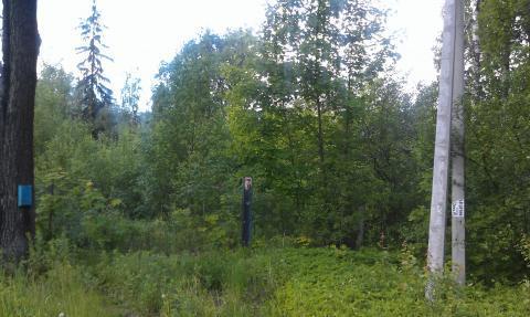 Участок 17 соток в Лесном Городке Участок 17 соток в Лесном Городке