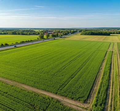 Продажа земельного участка 50 соток в Индустриальном парке "Чехов", 12500000 руб.