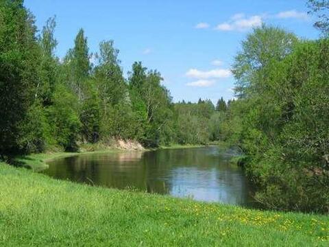 Участок 4 Га под дачное строительство на берегу реки Протва., 2400000 руб.