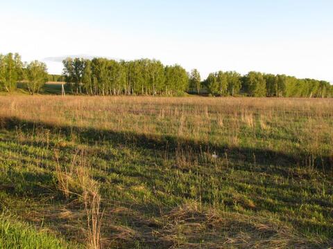 Продается земельный участок вблизи д.Доношово Озерского района, 3000000 руб.