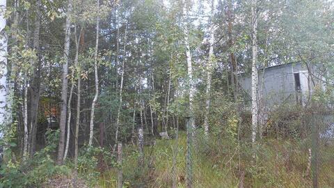 Продаётся земельный участок с лесными деревьями, 580000 руб.