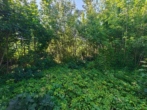 Участок в городе Королёв, 8300000 руб.