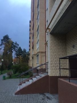 Санаторий Подмосковье, 1-но комнатная квартира,  д.53, 20000 руб.