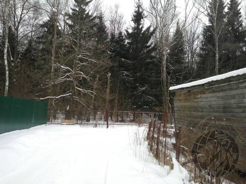 Участок в сказочном месте, в городе. СНТ Лесной, Климовск, Подольск., 1300000 руб.