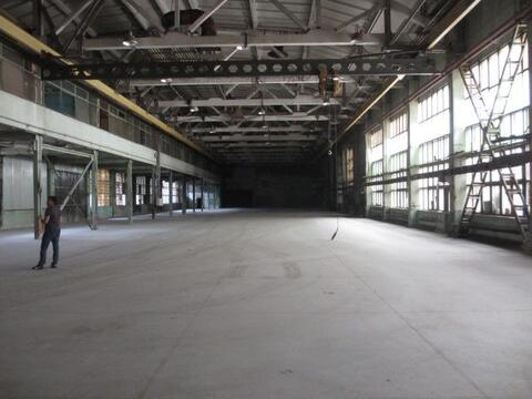 Теплый склад 2 700 м2 с кран-балкой в Видном, 4500 руб.