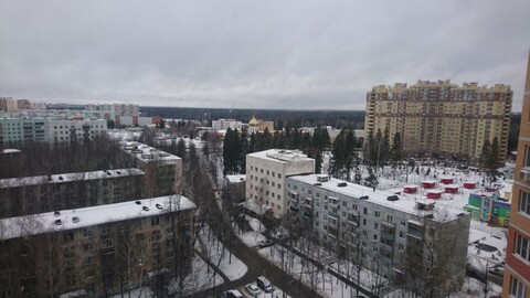 Краснознаменск, 3-х комнатная квартира, ул. Парковая д.4, 6200000 руб.