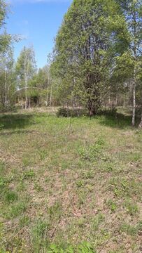 Земельный участок в обжитом СНТ Нарофоминский раойн Земельный участок в обжитом СНТ Нарофоминский раойн