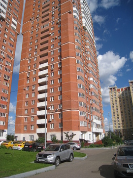 Москва, 2-х комнатная квартира, Мичуринский пр-кт. д.13 к3, 45000 руб.
