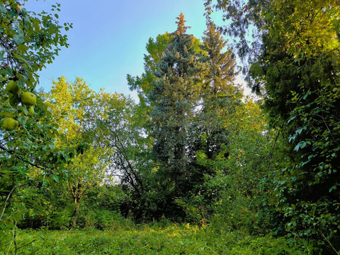 Продажа участка, Загорянский, Щелковский район, ул. Наречная, 15950000 руб.