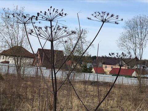 Продается земельный участок 17 соток в ЛПХ «Респект» , д. Матвейково, 1200000 руб.