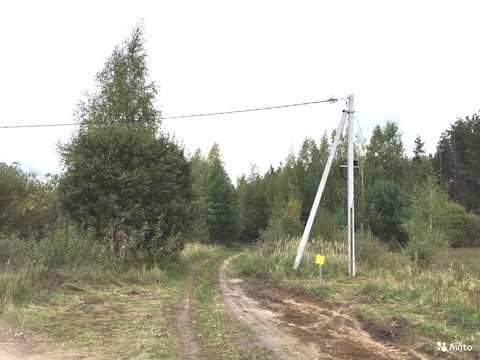 Отличный участок около леса в с. Пирочи. Коммуникации рядом., 550000 руб.