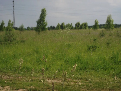 Продается зем.участок 18 сот в д. Нововолково, Рузский район Продается зем.участок 18 сот в д. Нововолково, Рузский район