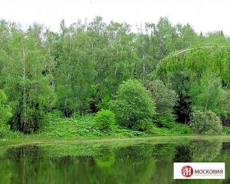 Земельный участок 20 соток(ИЖС) в Новой Москве, 4755755 руб.
