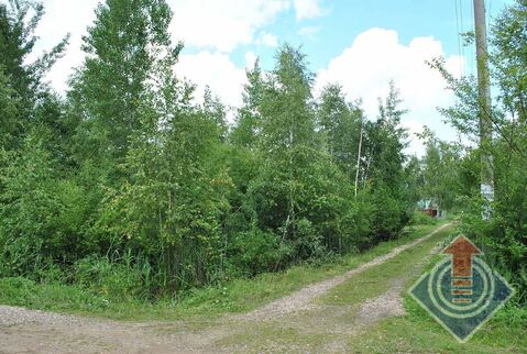 Участок в СНТ Вертолетчик у д. Шапкино и д. Порядино, 280000 руб.