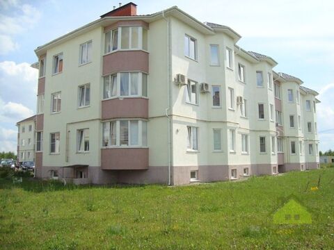 Большое Петровское, 3-х комнатная квартира, ул. Дорожная д.2, 3699000 руб.