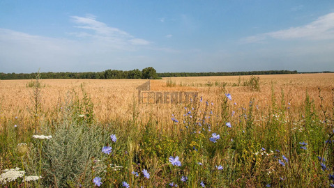 Продажа земельного участка, Можайск, Можайский район, Отяково д., 497000000 руб.