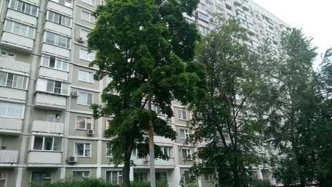 Москва, 2-х комнатная квартира, ул. Обручева д.15 к1, 11700000 руб.