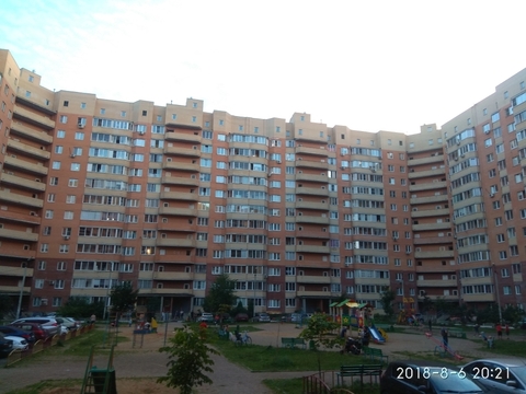Малые Вяземы, 2-х комнатная квартира, Петровское ш. д.5, 23000 руб.