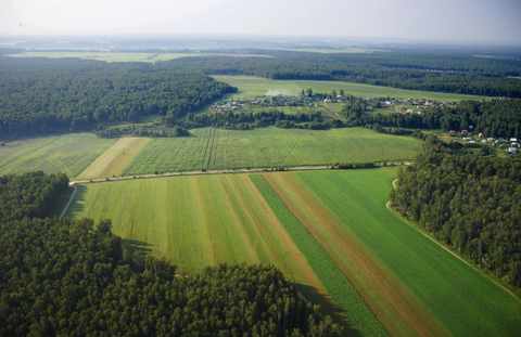 Участок в окружении леса, 1239300 руб.