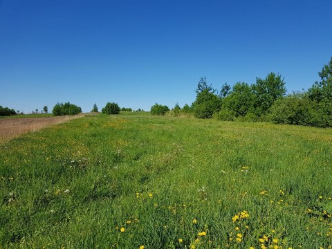 Земельный участок 23 сотки в д. Ольявидово, Дмитровского района, 850000 руб.