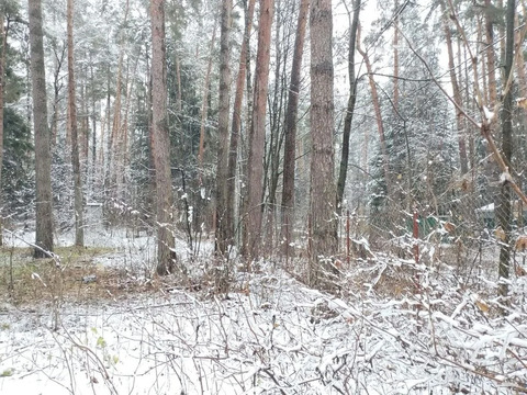 Продажа участка 17 сот. п. Кратово, ул. Кооперативная, 15300000 руб.