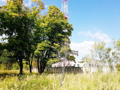 Участок в городе Серпухов Участок в городе Серпухов
