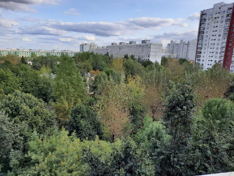 Москва, 1-но комнатная квартира, ул. Миклухо-Маклая д.51 к1, 30000 руб.