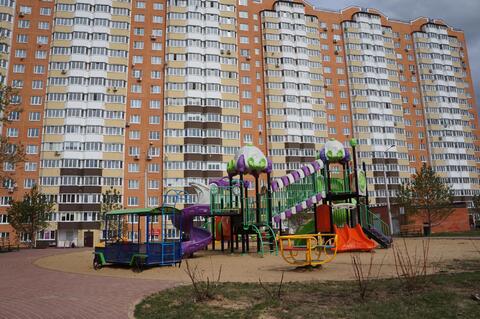 Домодедово, 1-но комнатная квартира, Текстильщиков д.31, 3800000 руб.
