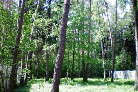 Лесной участок на Новорижском шоссе 10км. от МКАД со всеми ком-кациями, 1757142000 руб.