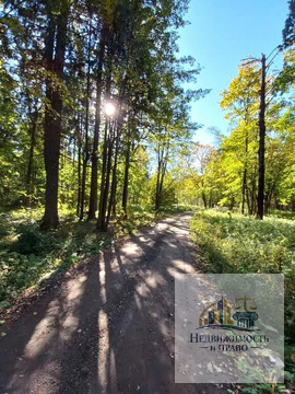 Продается участок 54 км Ленинградского шоссе, 23500000 руб.