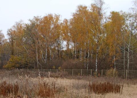 Участок у леса в охраняемом коттеджном поселке в Новой Москве, 13800000 руб.