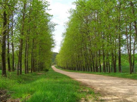 Участок площадью 7 соток, в старо дачном поселке 50 от мкада, 500000 руб.