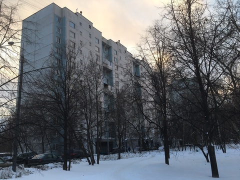 Москва, 2-х комнатная квартира, ул. Генерала Глаголева д.30 к3, 8800000 руб.