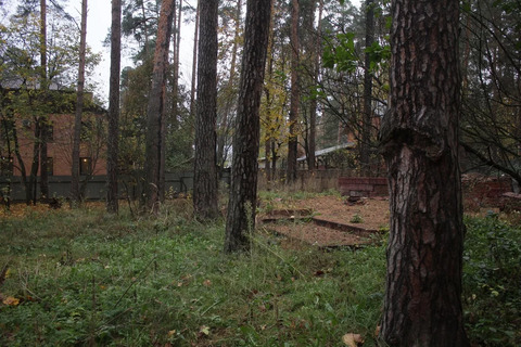 Продам земельный участок 15 соток в г. Раменское по ул. Льва Толстого. Продам земельный участок 15 соток в г. Раменское по ул. Льва Толстого.
