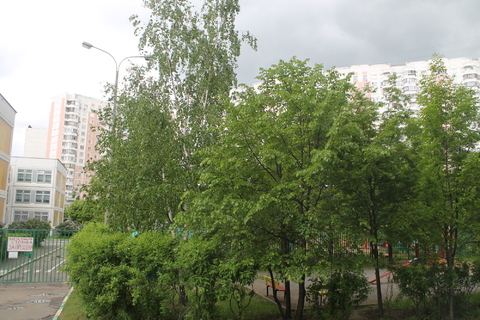 Москва, 1-но комнатная квартира, ул. Братиславская д.16 к3, 6100000 руб.