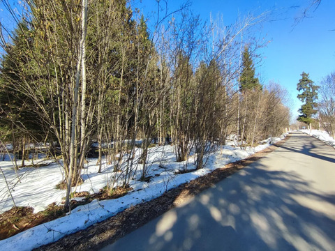 Продажа участка, НИИ Радио, Одинцовский район, Тыльная улица, 10850000 руб.