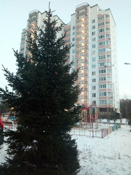 Ногинск, 2-х комнатная квартира, ул. Белякова д.2 к2, 4600000 руб.