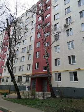 Ул. Полбина дом 46, трехкомнатная квартира 59 кв.м. Ул. Полбина дом 46, трехкомнатная квартира 59 кв.м.
