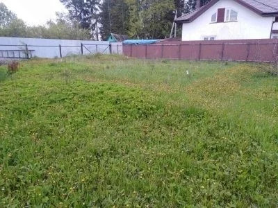 Участок 4,3 сотки в д.Кривцово под ЛПХ. Участок 4,3 сотки в д.Кривцово под ЛПХ.