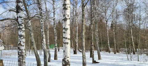 Рублево-Успенское ш. 18км. д. Бузаево в охркп участок 67.27 соток, 89393900 руб.