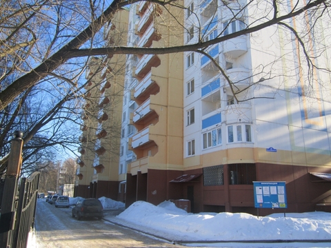 Ногинск, 1-но комнатная квартира, ул. Ревсобраний 1-я д.6а, 2800000 руб.