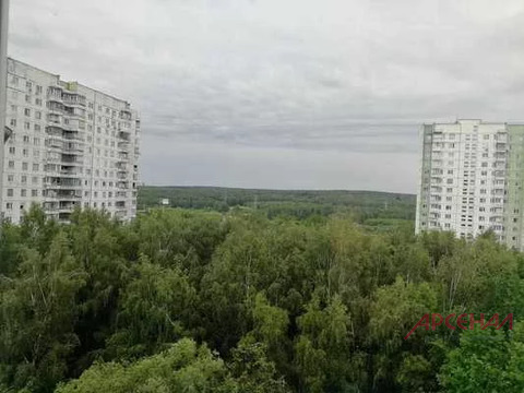 Москва, 1-но комнатная квартира, ул. Инессы Арманд д.4к1, 6250000 руб.