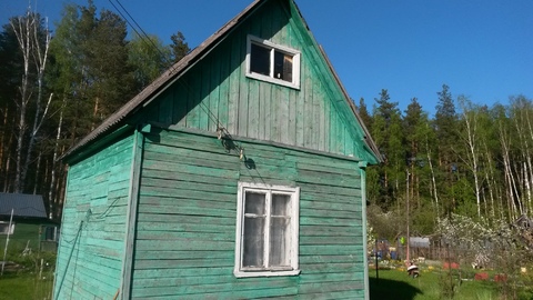 Участок с домиком у леса. 50 км по Носовихинскому шоссе. Участок с домиком у леса. 50 км по Носовихинскому шоссе.